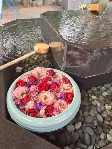 亀ケ池八幡宮(神奈川県)