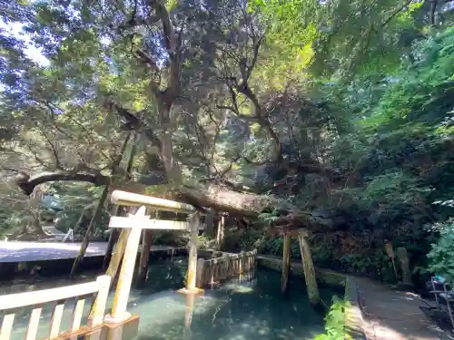 鹿島神宮(茨城県)