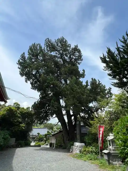 波立寺(波立薬師)(福島県)