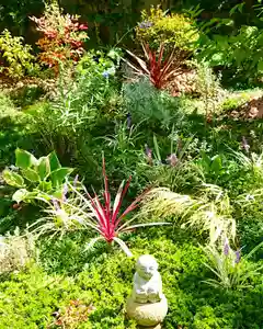 寿量山 速成寺の自然(2020年09月27日(日) 12時14分49秒投稿)