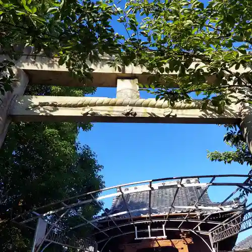 西宮神社（本町）の鳥居