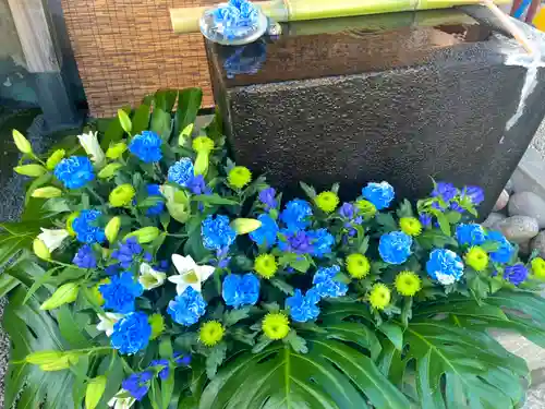 上尾御嶽神社の手水舎