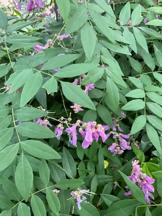 光照寺(愛知県)