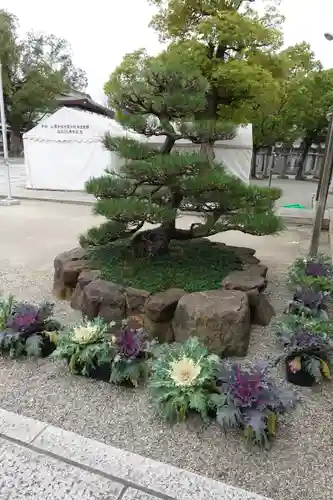 出雲大社大阪分祠の庭園