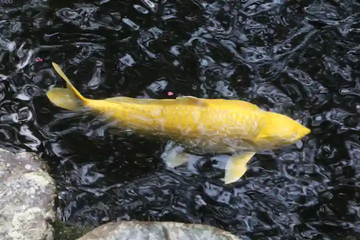 伊勢神宮内宮(皇大神宮)(三重県)