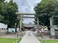 浅草神社の鳥居