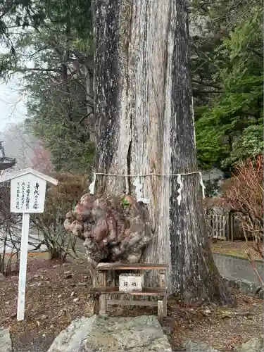 中禅寺(栃木県)