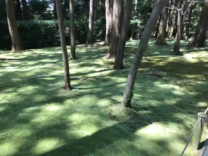 唐招提寺の自然