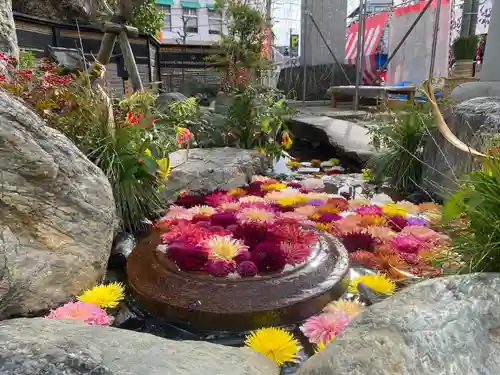 白旗神社(神奈川県)