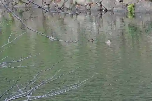 滋賀県護国神社(滋賀県)