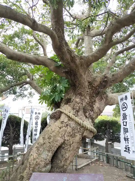 龍口明神社(神奈川県)