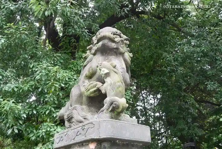阿佐ヶ谷神明宮の狛犬