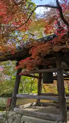 十輪寺(京都府)