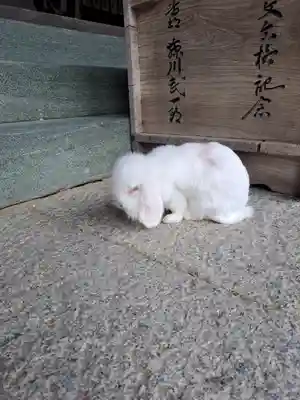 大御和神社(徳島県)