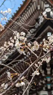 本法寺(京都府)