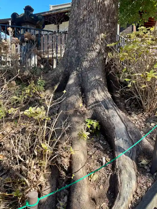 清水観音堂(東京都)