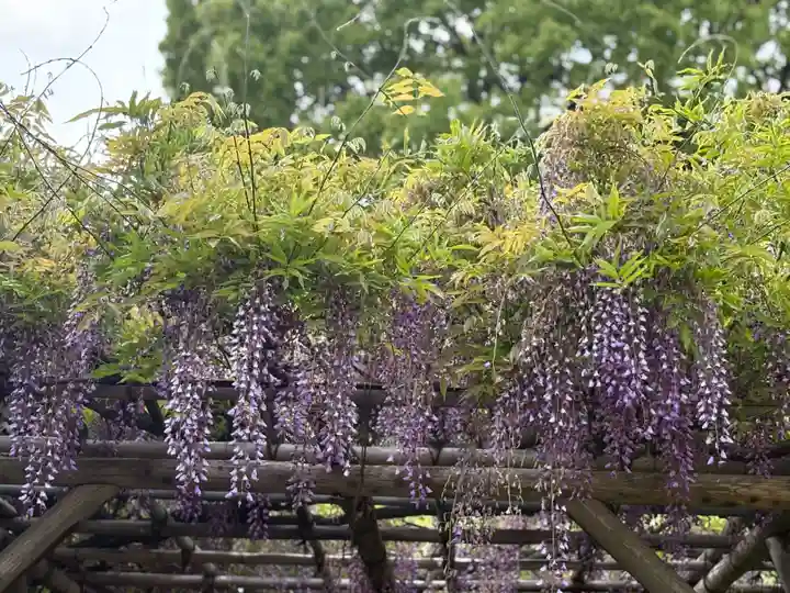 亀戸天神社(東京都)