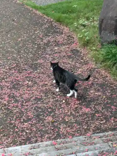 宝蔵院(東京都)