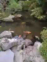 金蛇水神社(宮城県)