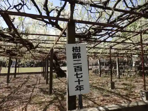 長泉寺の庭園