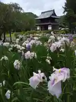 常高寺の自然