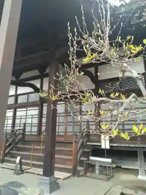 極楽寺(福島県)