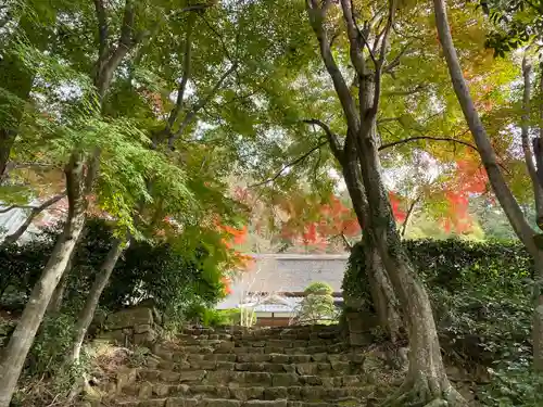胡宮神社（敏満寺史跡）(滋賀県)