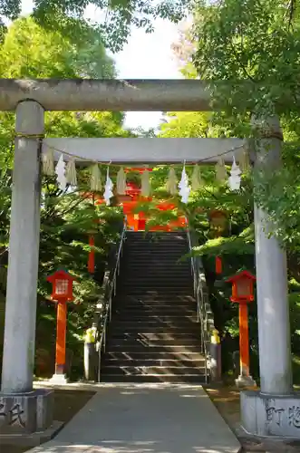 穴八幡宮の鳥居