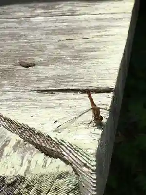 曽我神社の動物
