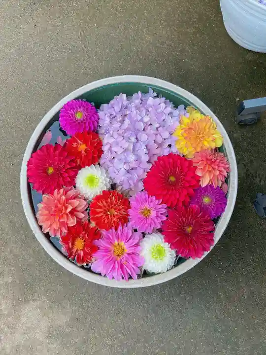 岡寺(龍蓋寺)(奈良県)