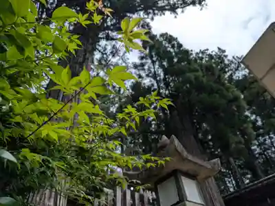 田瀬神社(岐阜県)