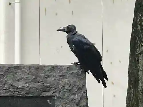 大國魂神社(東京都)
