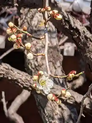 高円寺(東京都)