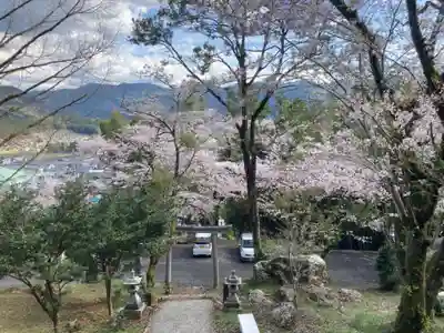 愛宕神社の自然