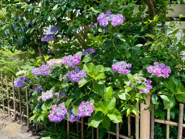 由比若宮(元鶴岡八幡宮)(神奈川県)
