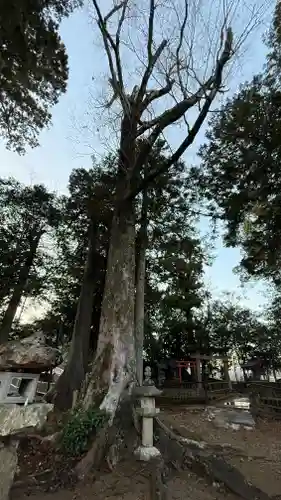 天満神社(兵庫県)