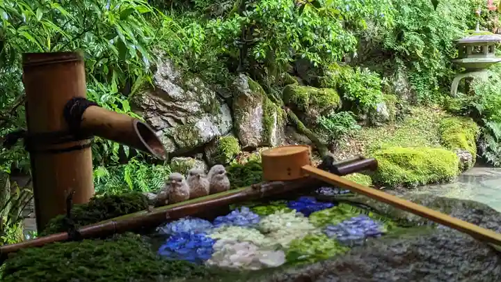 柳谷観音 楊谷寺(京都府)