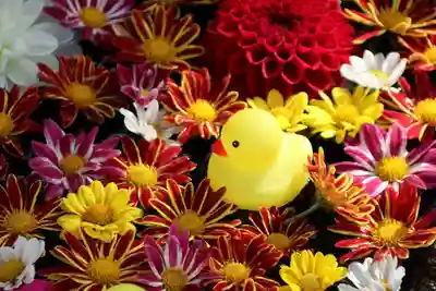 大鏑神社の手水舎