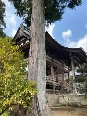 金剛城寺の本殿・本堂