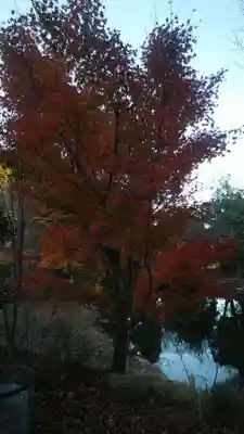 成相寺(京都府)