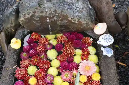 大鏑神社の手水