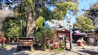 冠稲荷神社(群馬県)