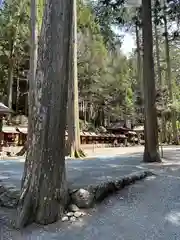 三峯神社(埼玉県)