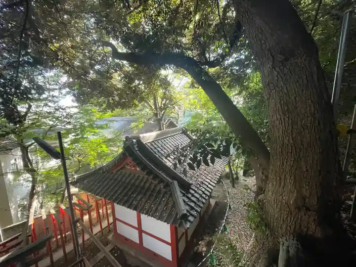 王子稲荷神社(東京都)