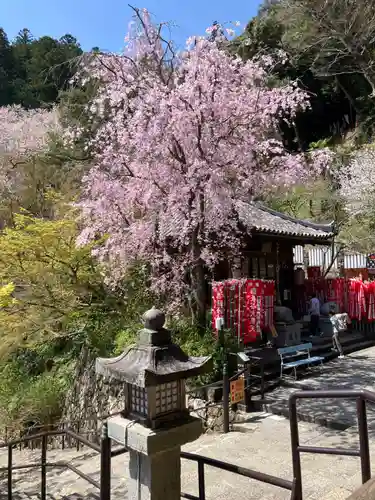 長谷寺(奈良県)