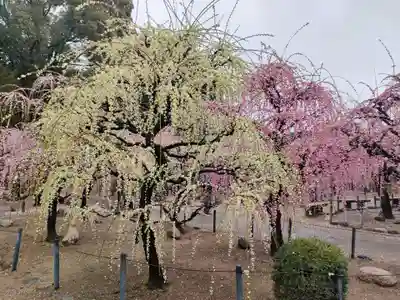 結城神社の周辺