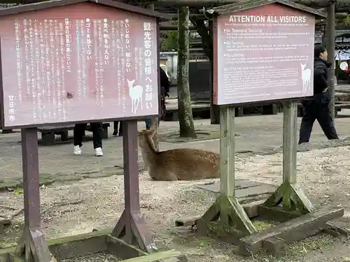 厳島神社(広島県)