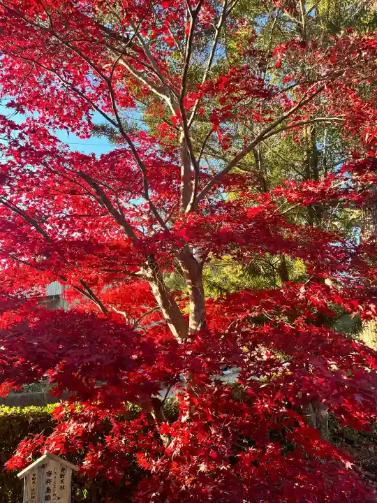 宝来山神社(和歌山県)