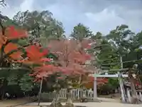 手向山八幡宮(奈良県)