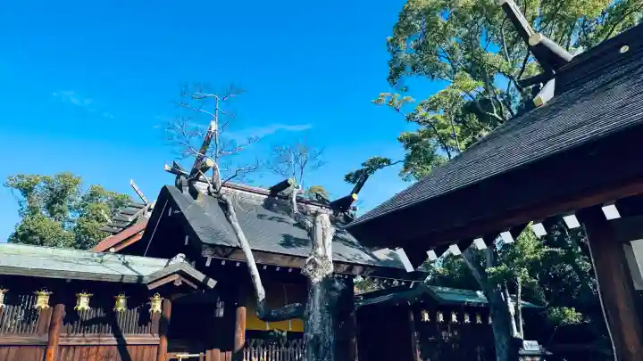 大鳥大社(大阪府)